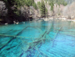 Die Baumstämme liegen dort wahrscheinlich schon eine Weile... Jiuzhaigou See