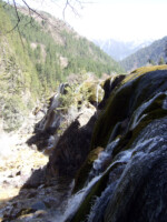 Und noch mehr Wasserfälle, die aber trotz der Vielzahl nicht langweilig wurden. Jiuzhaigou Wasserfälle