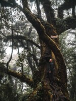 Zwischendurch haben wir natürlich die Möglichkeiten genutzt ein paar Bilder zu schießen ;) Vulkan Acatenango Aufstieg