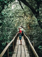 Abschiedsbild auf dem Nachhauseweg zurück nach Xela. Playa Tilapa Mangroven