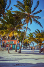 Die Insel bietet einfach eine wunderbare Kulisse aus Palmen und farbenfrohen Holzhütten. Belize Caye Cauker