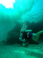 Als fünften und letzten Tauchgang hatten wir die Fisch Identifikation gewählt. Belize San Pedro